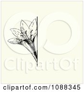 Clipart Vintage Black Lotus Flower And Beige Invitation Background Royalty Free Vector Illustration