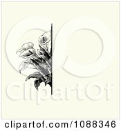 Vintage Black Calla Lily Flower And Beige Invitation Background