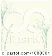 Clipart Green And Beige Iris Background Royalty Free Vector Illustration