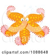 Poster, Art Print Of Happy Orange Starfish With Spots