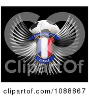 Poster, Art Print Of 3d Winged France Shield And Soccer Ball