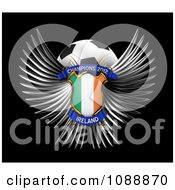 Poster, Art Print Of 3d Winged Ireland Shield And Soccer Ball