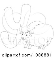 Clipart Outlined Y Is For Yak Coloring Page Royalty Free Vector Illustration