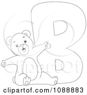 Clipart Outlined B Is For Bear Coloring Page Royalty Free Vector Illustration