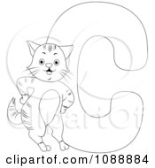 Poster, Art Print Of Outlined C Is For Cat Coloring Page