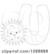 Clipart Outlined U Is For Urchin Coloring Page Royalty Free Vector Illustration by BNP Design Studio