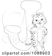 Outlined J Is For Jaguar Coloring Page