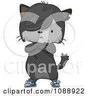 Stubborn Gray Cat Wearing Shoes With Folded Arms