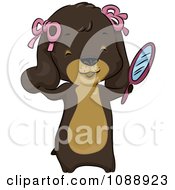 Clipart Spoiled Daschund Dog Using A Hand Mirror Royalty Free Vector Illustration