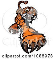 Poster, Art Print Of Tiger Mascot Clawing