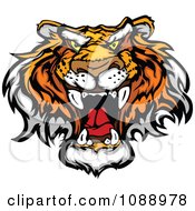 Poster, Art Print Of Mad Tiger Mascot Face