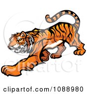 Poster, Art Print Of Tiger Mascot Stalking