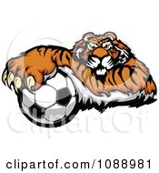 Poster, Art Print Of Tiger Soccer Mascot Resting On A Ball