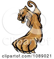 Poster, Art Print Of Clawing Cougar Mascot