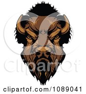 Clipart Tough Buffalo Mascot Head Royalty Free Vector Illustration