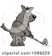 Poster, Art Print Of Golfing Wolf Holding The Club Against The Ball On The Tee