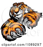 Poster, Art Print Of Tiger Mascot With Claws