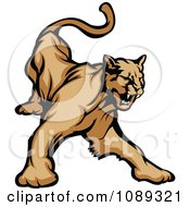 Poster, Art Print Of Aggressive Cougar Mascot Hissing