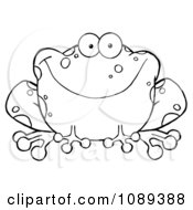 Poster, Art Print Of Outlined Speckled Toad Smiling