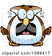 Poster, Art Print Of Chubby Scared Owl