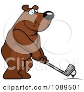 Poster, Art Print Of Golfing Bear Holding The Club Against The Ball On The Tee