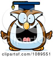 Chubby Professor Owl