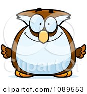 Poster, Art Print Of Chubby Smiling Owl