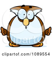 Poster, Art Print Of Chubby Surprised Owl