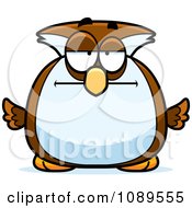 Poster, Art Print Of Chubby Bored Owl