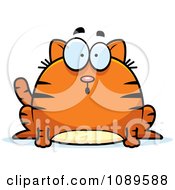 Poster, Art Print Of Chubby Surprised Orange Tabby Cat