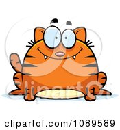Poster, Art Print Of Chubby Smiling Orange Tabby Cat