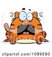Poster, Art Print Of Chubby Scared Orange Tabby Cat