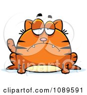 Poster, Art Print Of Chubby Sad Orange Tabby Cat
