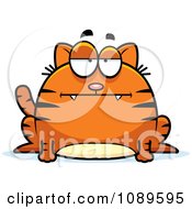 Poster, Art Print Of Chubby Bored Orange Tabby Cat