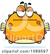 Poster, Art Print Of Chubby Bored Orange Blowfish