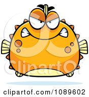 Chubby Mean Orange Blowfish