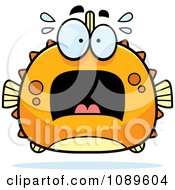 Chubby Scared Orange Blowfish