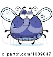 Poster, Art Print Of Chubby Bored Purple Fly