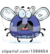 Poster, Art Print Of Chubby Scared Purple Fly