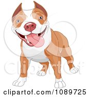 Clipart Cute Pit Bull Dog Standing Royalty Free Vector Illustration by Pushkin #COLLC1089725-0093