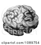 Poster, Art Print Of Grayscale Brain