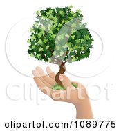 Human Hand Holding A Lush Green Tree