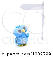 3d Blue Bird Or Owl Looking Up At A Street Sign