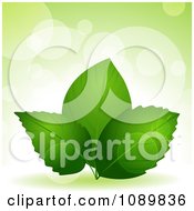 Poster, Art Print Of 3d Green Plant Leaves Over Flares With Copyspace