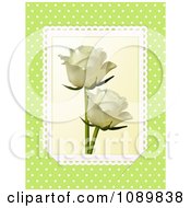 3d Ivory Roses With Lace Over Green With Polka Dots