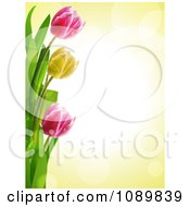 Poster, Art Print Of 3d Tulip Flower Border Over Yellow With Flares