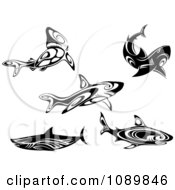 Poster, Art Print Of Black And White Tribal Sharks