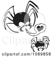 Poster, Art Print Of Dangerous Black Spider Trying To Seduce A Mate
