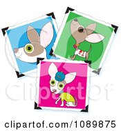 Poster, Art Print Of Three Cute Chihuahua Pictures With Corner Holders