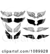 Poster, Art Print Of Black And White Feathered Wings